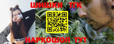 гашик Жуковский