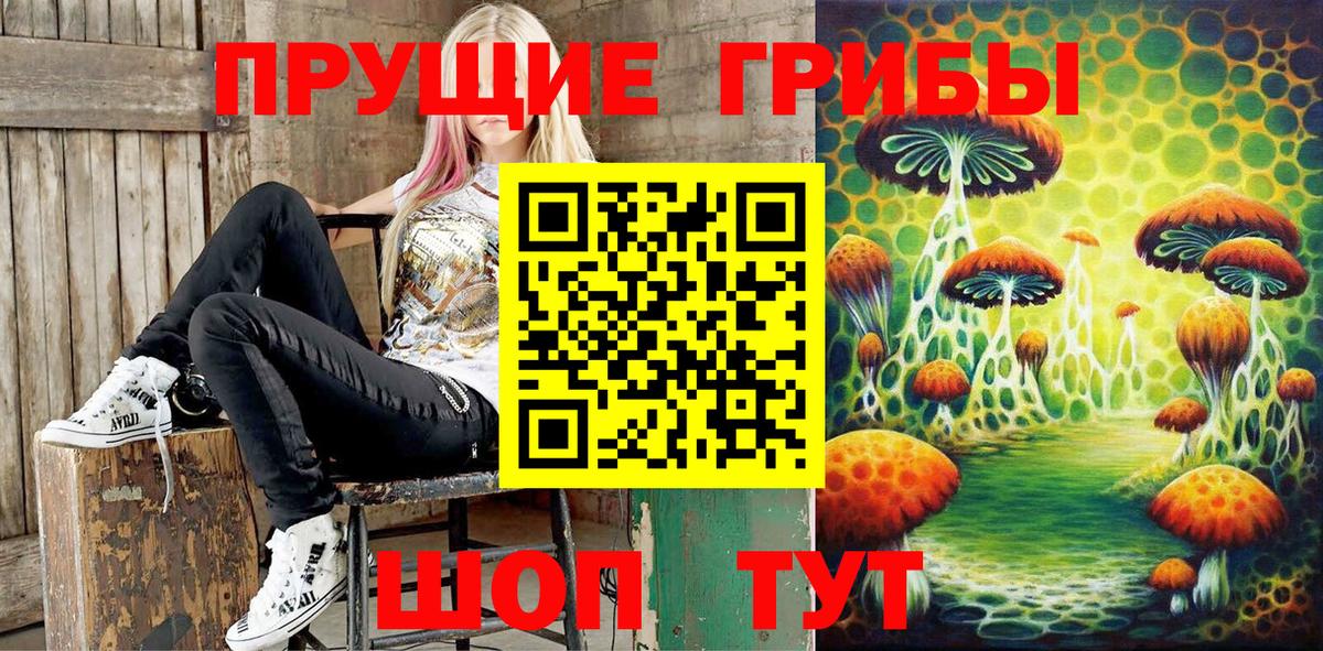 Галлюциногенные грибы GOLDEN TEACHER  Псилоцибиновые грибы GOLDEN TEACHER  Вход с VPN  Ликино-Дулёво 